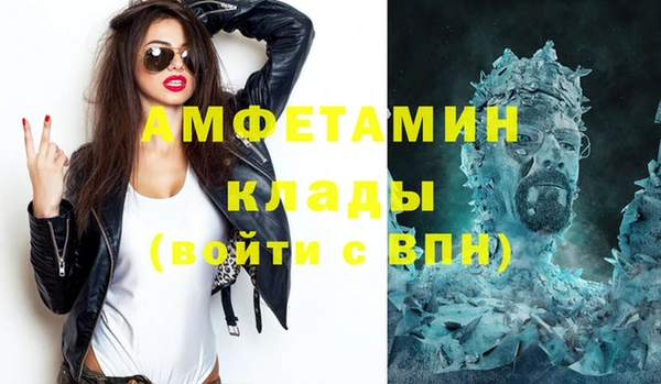 шишки Вязьма