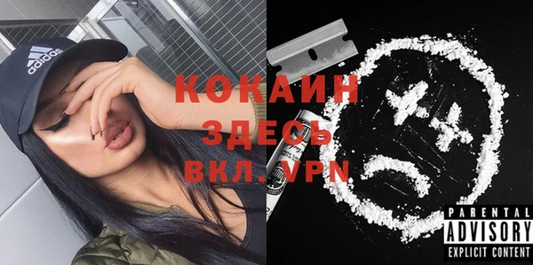 шишки Вязьма