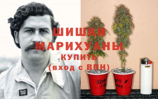 шишки Вязьма