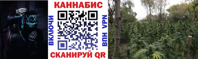 МАРИХУАНА сатива  Новошахтинск 